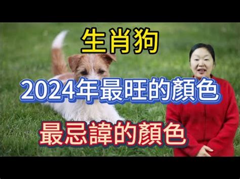 生肖狗 幸運色|2024年属狗的幸运色和禁忌色